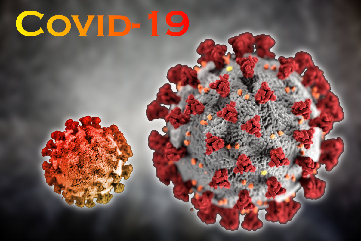 Cov19TB