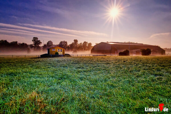 Fruehnebel