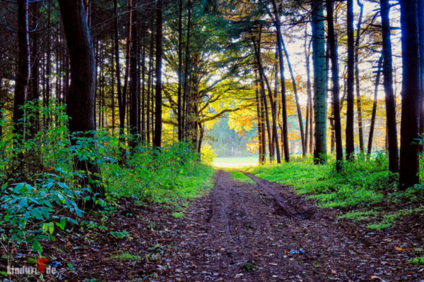 Herbstbild