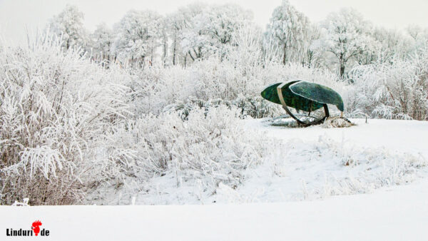 Schneewetter