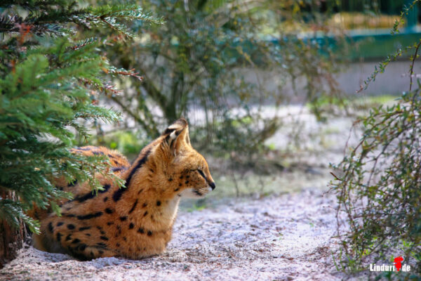 Tierpark