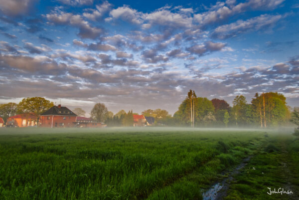 Frühnebel