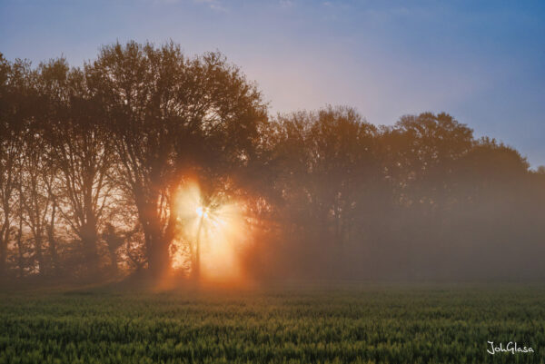 Frühnebel