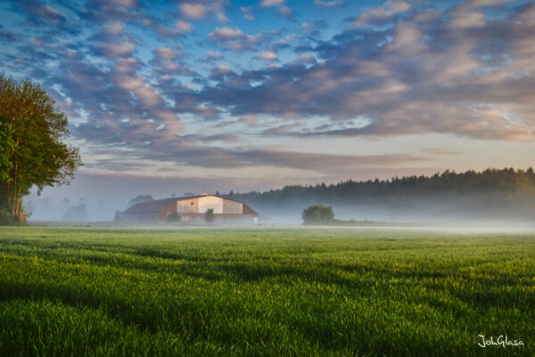 Frühnebel