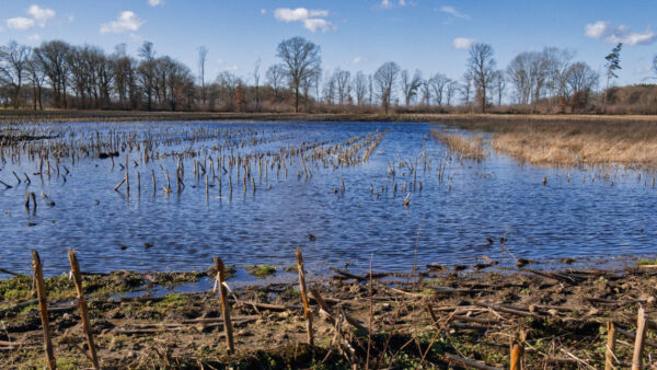 hochwasser