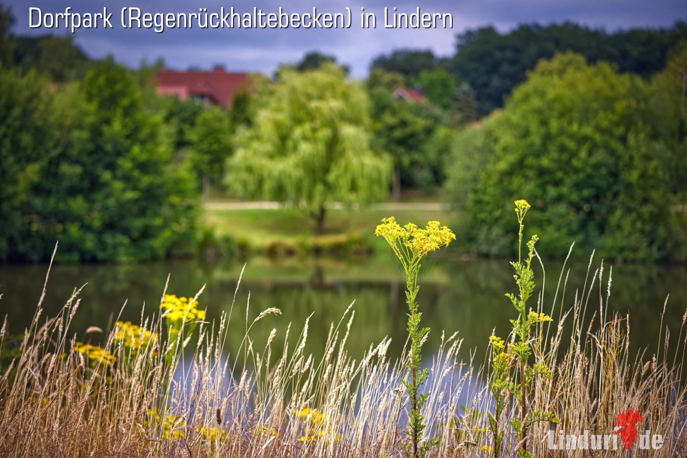 Lindern