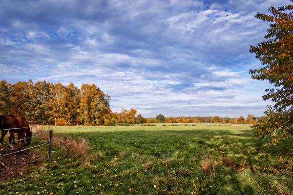 Landschaft