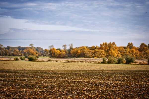 Landschaft