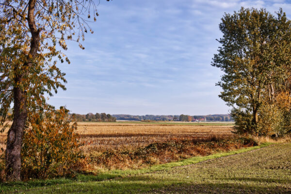 Landschaft