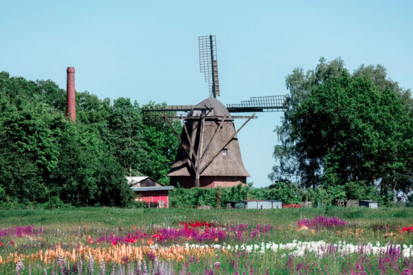 Mühle