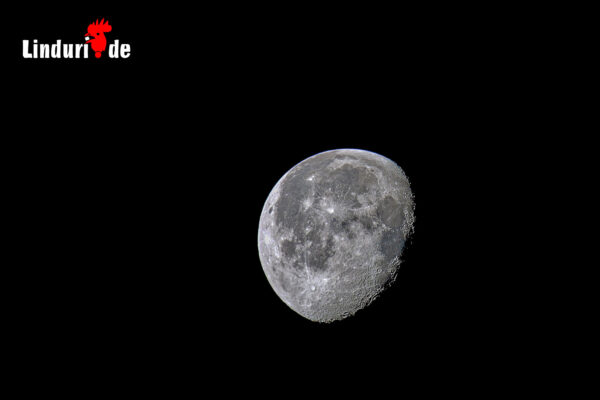 Mond