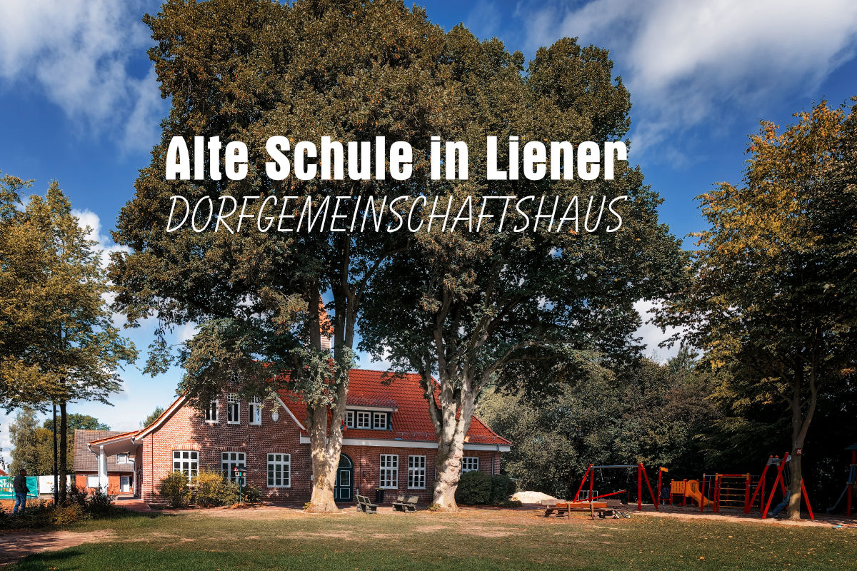 Schule Liener