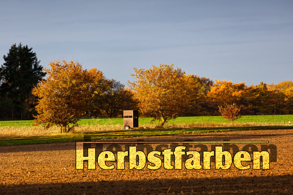 herbst25