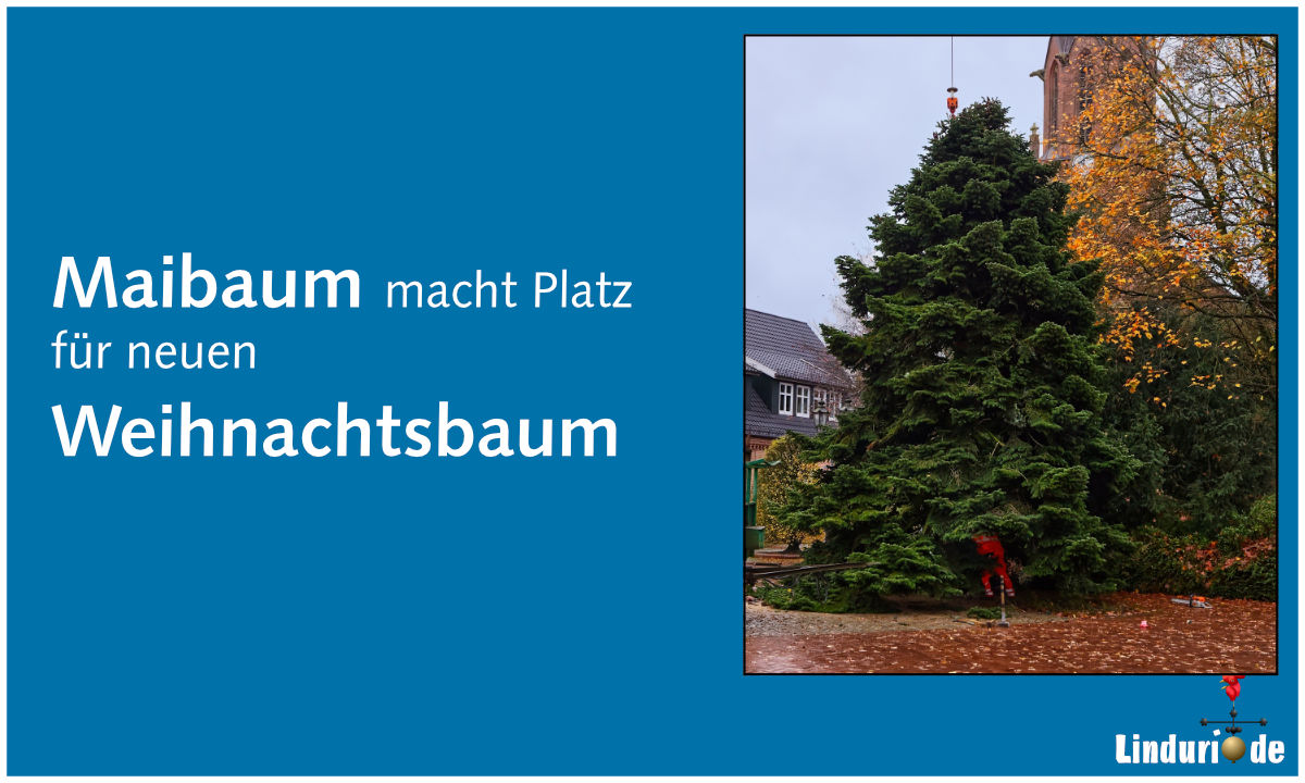 Weihnachtsbaum25