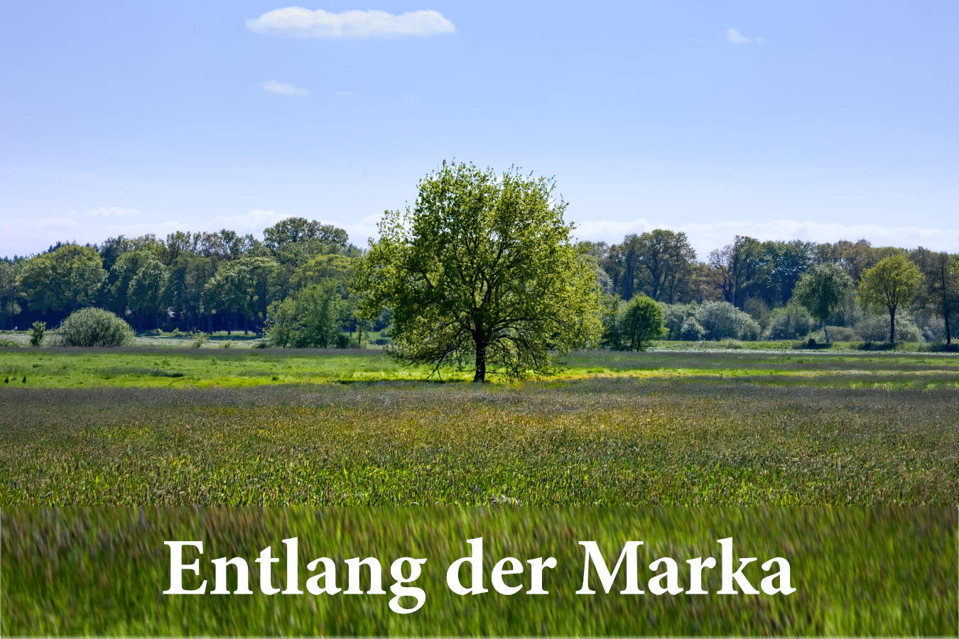 Marka