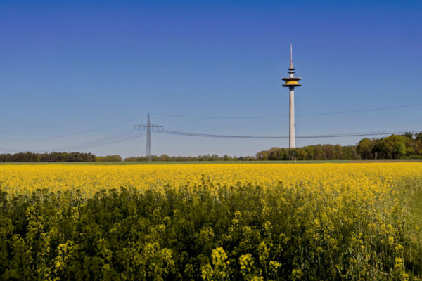 Frühling26