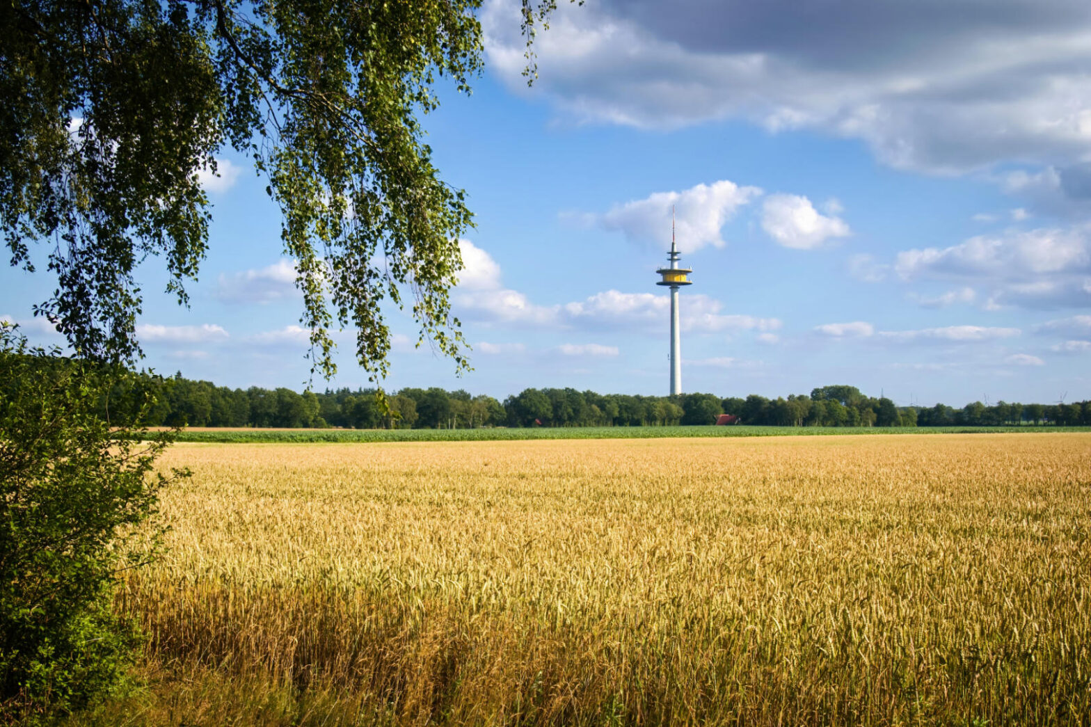Landwirtschaft