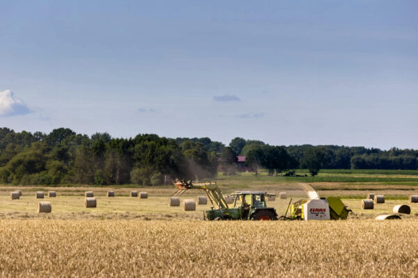 Landwirtschaft