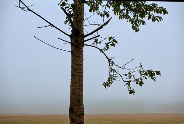 Herbst
