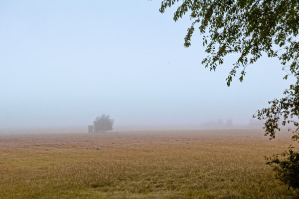 Herbst