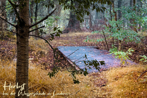 Herbst