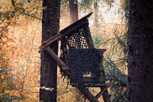 Herbst