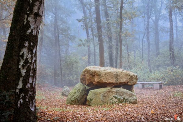Herbstnebel
