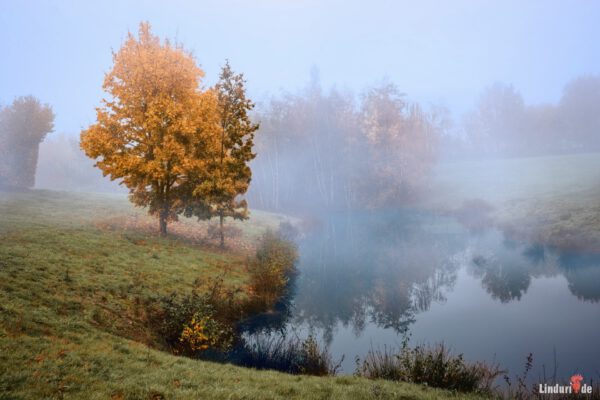 Herbstnebel